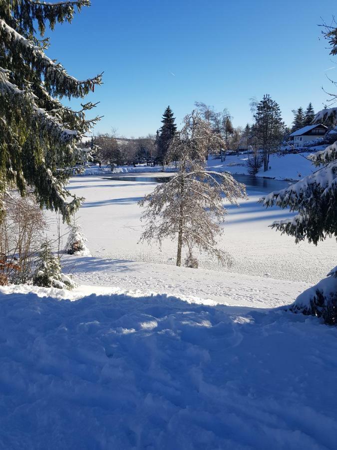 Jules Traum Im Schwarzwald Leilighet Herrischried Eksteriør bilde