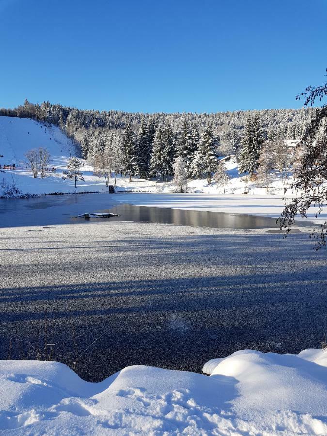 Jules Traum Im Schwarzwald Leilighet Herrischried Eksteriør bilde