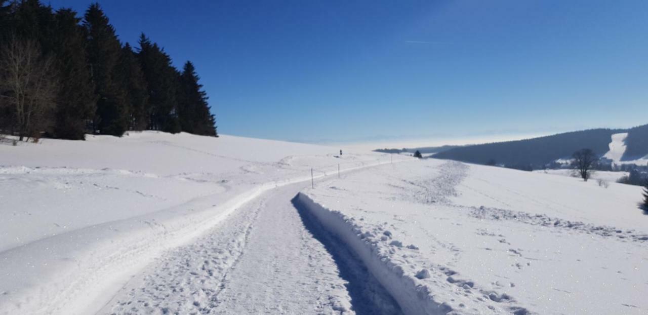 Jules Traum Im Schwarzwald Leilighet Herrischried Eksteriør bilde