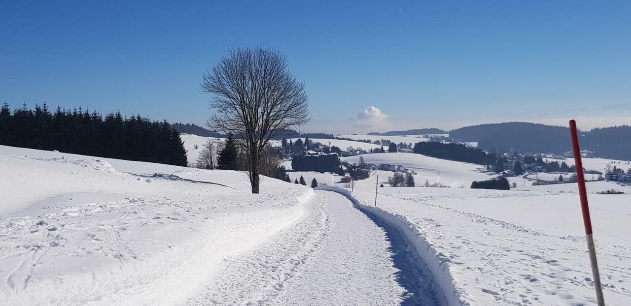Jules Traum Im Schwarzwald Leilighet Herrischried Eksteriør bilde